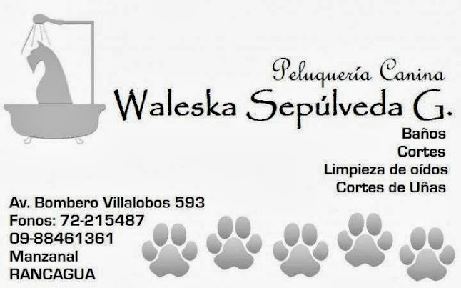 Peluqueria Canina Waleska Sepulveda - Peluquería