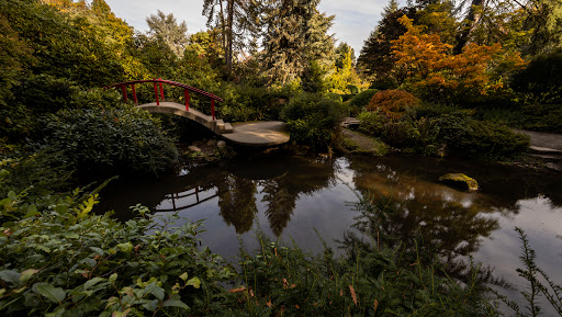 Park «132nd Square Park», reviews and photos, 13159 132nd Ave NE, Kirkland, WA 98034, USA