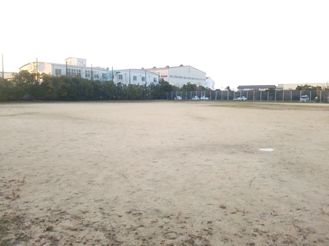 雑賀崎緑地施設運動広場