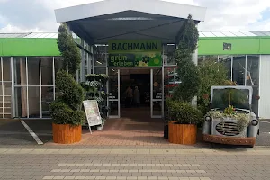 Gartencenter Bachmann GmbH image