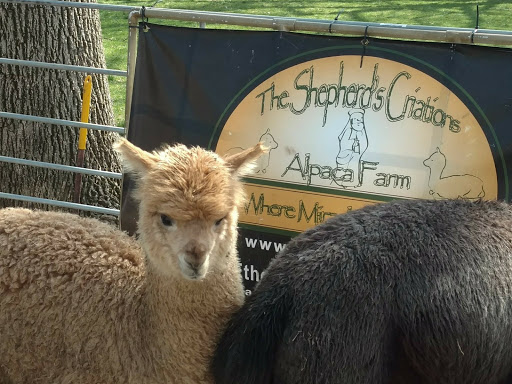 Produce Market «Douglass Loop Farmers Market», reviews and photos, 2005 Douglass Blvd, Louisville, KY 40205, USA