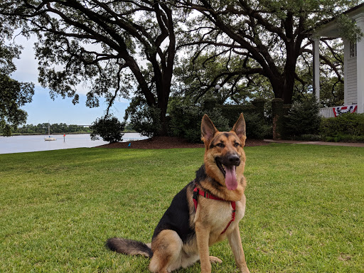 History Museum «Kaminski House Museum», reviews and photos, 1003 Front St, Georgetown, SC 29440, USA