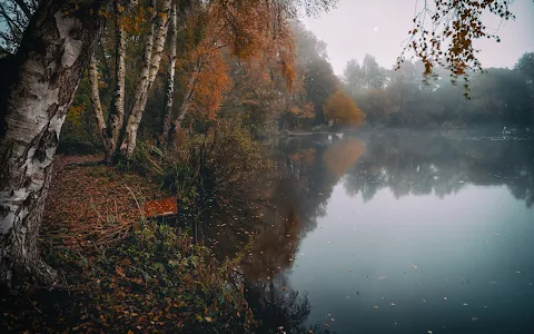 Dutton's Pond image