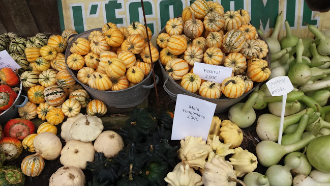 Philippe Lhoas - Hoei