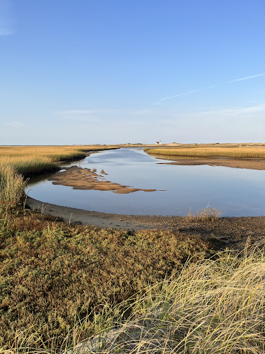 Hatches Harbor Trail