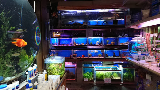 Tropical Fish Store «Midway Tropical Fish & Pets», reviews and photos, 24101 Pacific Hwy S, Kent, WA 98032, USA