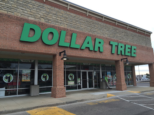 Dollar Store «Dollar Tree», reviews and photos, 8653 Columbus Pike, Lewis Center, OH 43035, USA