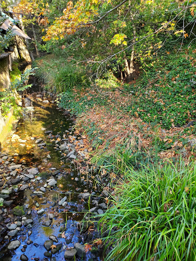Grocery Store «Mill Valley Market», reviews and photos, 12 Corte Madera Ave, Mill Valley, CA 94941, USA