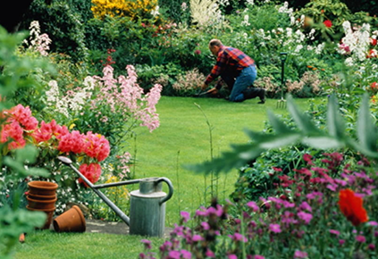 Jardineria Guerrero