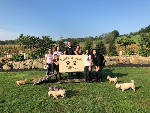 Pet Store «Furry Babies Inc», reviews and photos, 3340 Mall Loop Dr, Joliet, IL 60431, USA