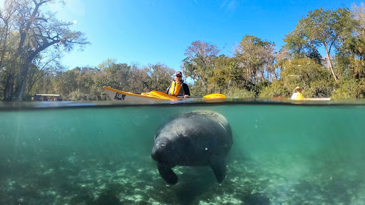 Canoe & Kayak Tour Agency «Osprey Bay Outdoors», reviews and photos, 160 N Belcher Rd, Clearwater, FL 33765, USA