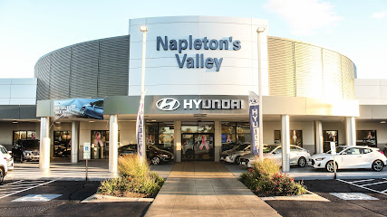 Napleton's Valley Hyundai
