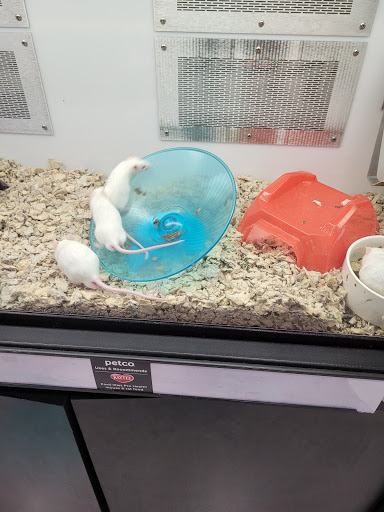 Pet Supply Store «Petco Animal Supplies», reviews and photos, 10235 Indianapolis Blvd, Highland, IN 46322, USA