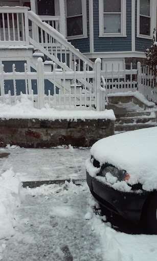 Park «Ceylon Park», reviews and photos, 105 Ceylon St, Boston, MA 02121, USA