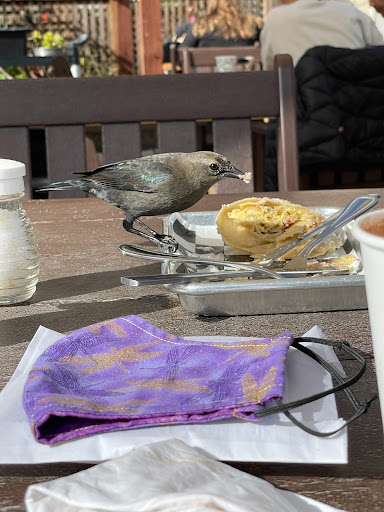 Cafe «Goodlife Cafe & Bakery», reviews and photos, 10483 Lansing St, Mendocino, CA 95460, USA