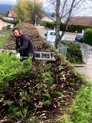 Proux Ramoneur Elagueur Jardinier à La Chapelle-Longueville