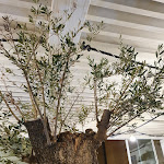 Photo n°8 de l'avis de Marco.i fait le 17/09/2020 à 13:06 sur le  Mareria à Foggia