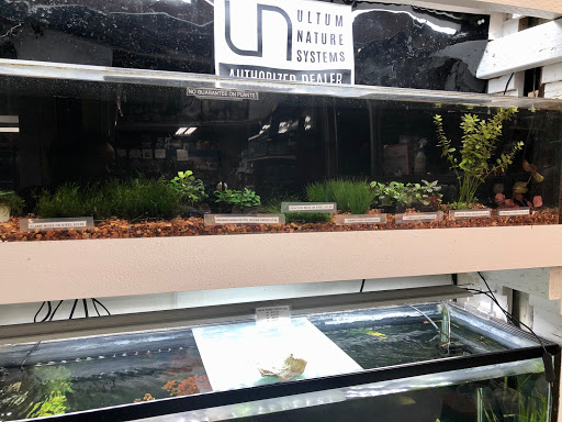 Pet Store «Pet Town», reviews and photos, 7804 Florence Ave, Downey, CA 90240, USA