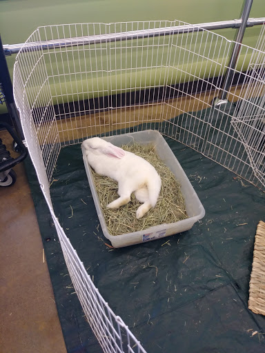 Pet Supply Store «Pet Supplies Plus», reviews and photos, 209 Towne Dr, Elizabethtown, KY 42701, USA