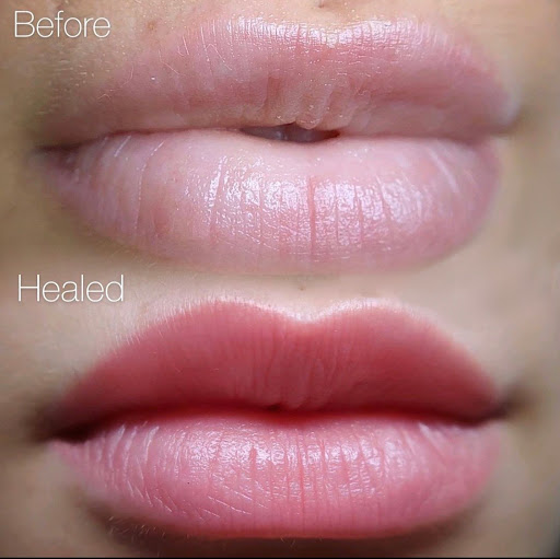 Explore jungle tattoo ideas, creative tattoo ideas in Albany, available at Black Sheep Tattoo Company