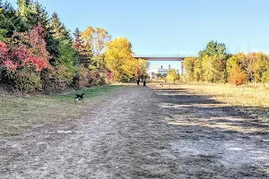 High Bridge Dog Park image