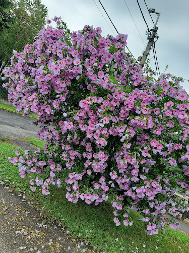 Miskolc, Tóth Pál u. 9, 3528