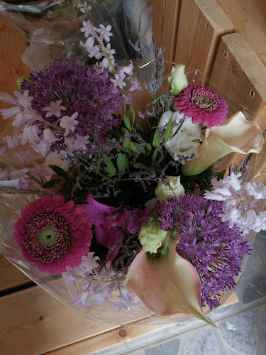 Blomsterbutik Mælkebøtten 24/7 - Aalborg