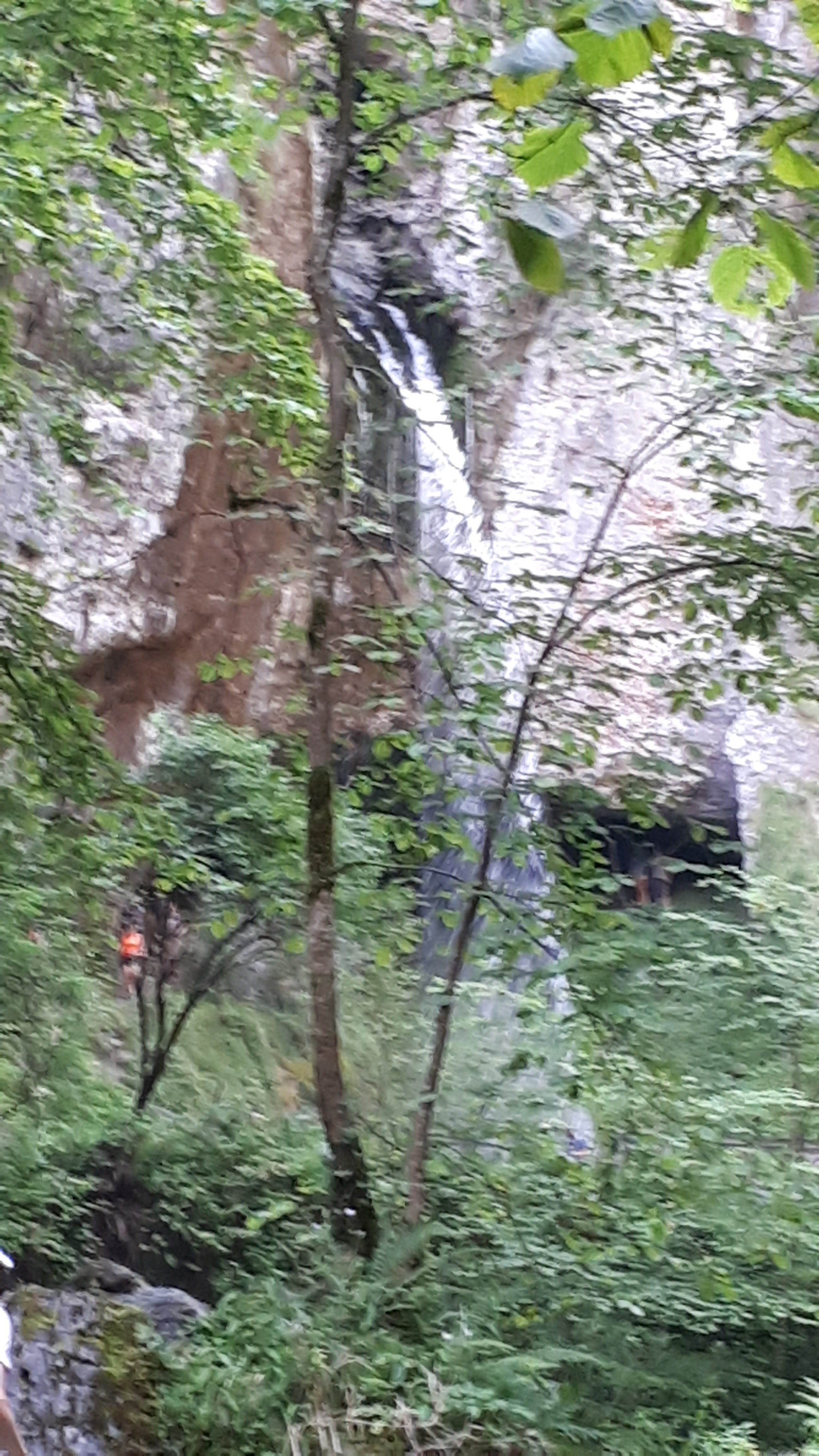 Photo n° 10 de l'avis de catherine.r fait le 16/08/2020 à 12:55