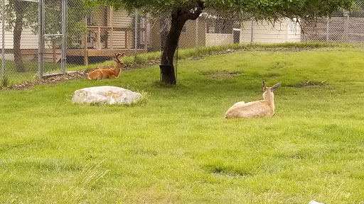 Zoo «Red River Zoo», reviews and photos, 4255 23rd Ave S, Fargo, ND 58104, USA