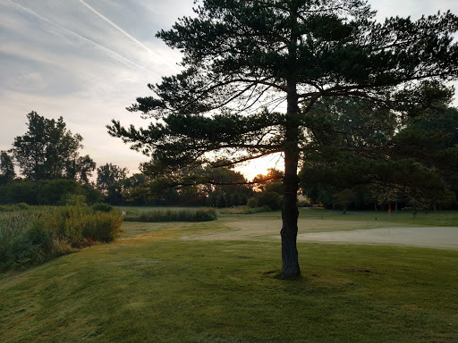 Golf Course «Glenbrier Golf Course», reviews and photos, 4178 W Locke Rd, Perry, MI 48872, USA