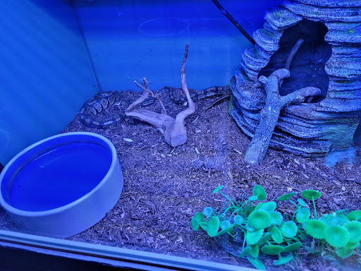 Pet Store «Southside Aquatics», reviews and photos, 2039 Pleasanton Rd, San Antonio, TX 78221, USA