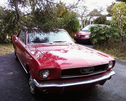 Image Auto Detailing in Boca Raton - Mobile Auto Detailing and  Mobile Car Cleaning en Boca Raton