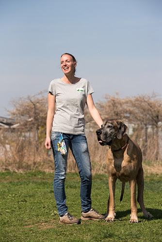 Hundeschule Stubenwölfe / Diana Holzbauer - Hundeschule