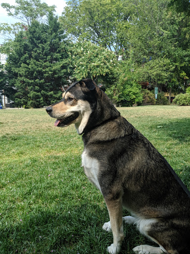 Park «Crispus Attucks Park», reviews and photos, 23 U St NW, Washington, DC 20001, USA