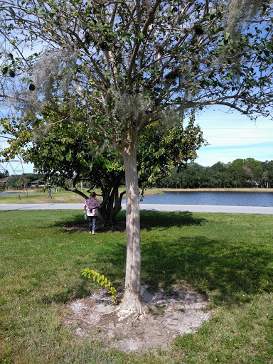 Nature Preserve «Mobbly Bayou Wilderness Preserve», reviews and photos, 423 Lafayette Blvd, Oldsmar, FL 34677, USA