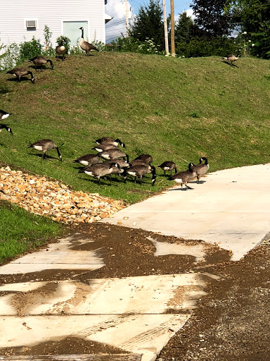 Coffee Shop «Vacavi Cafe», reviews and photos, 100 Water St, Conneaut Lake, PA 16316, USA