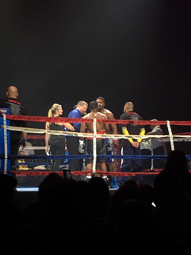 Detroit Boxing Jungle