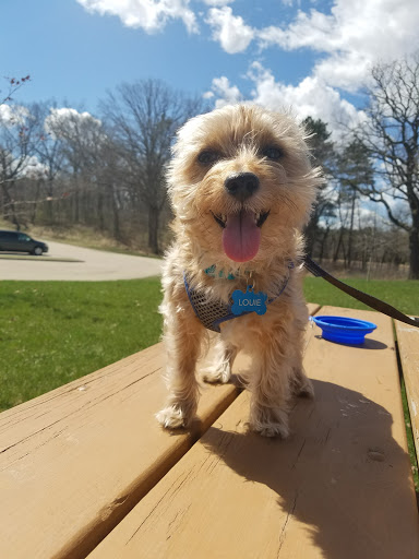 Park «Lake Elmo Park Reserve», reviews and photos, 1515 Keats Ave N, Lake Elmo, MN 55042, USA