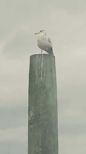 Country Club «Warwick Country Club», reviews and photos, 394 Narragansett Bay Ave, Warwick, RI 02889, USA