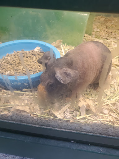 Pet Supply Store «Pet Supplies Plus», reviews and photos, 1168 Farmington Ave, Bristol, CT 06010, USA