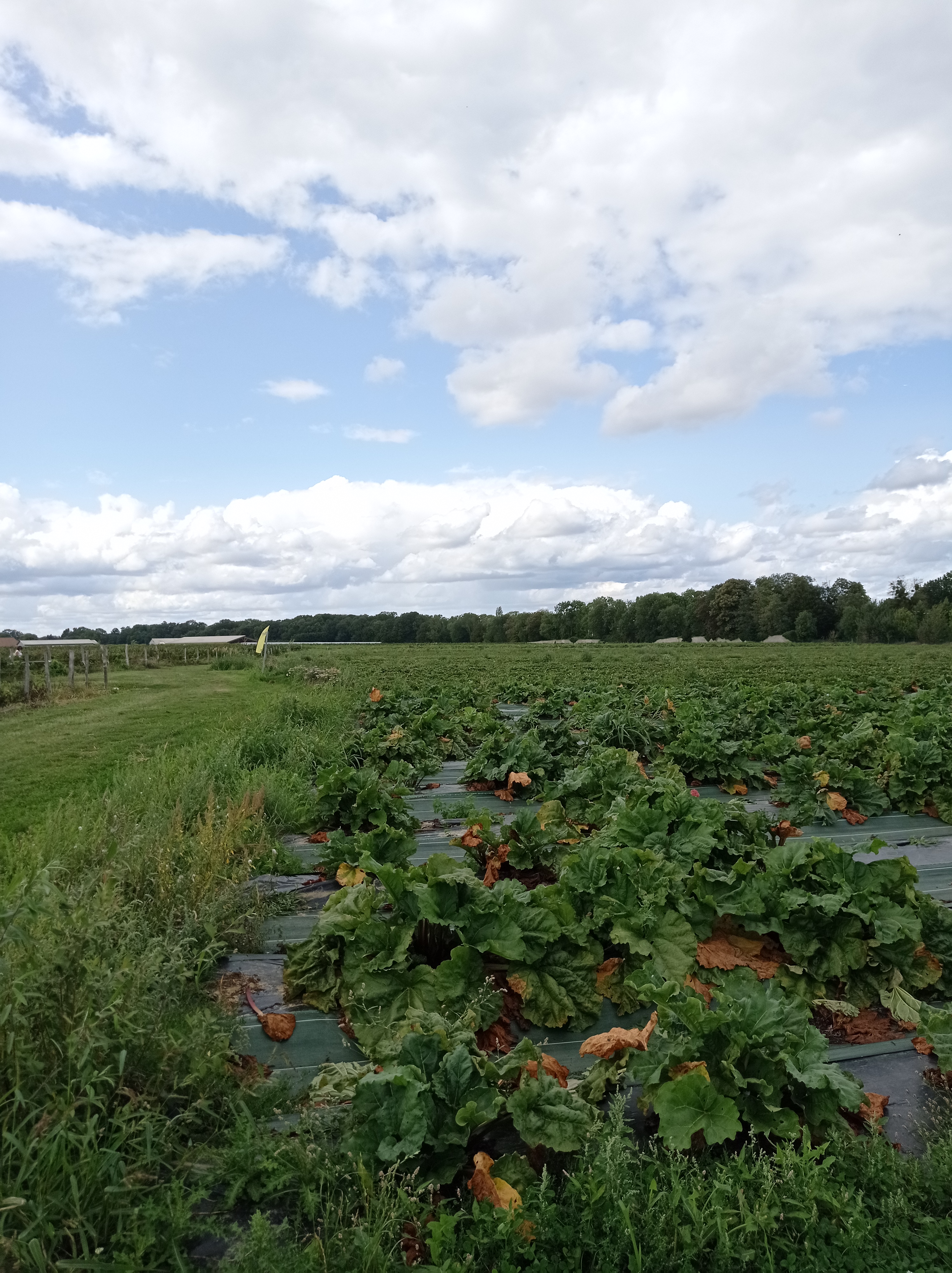 Photo n° 1 de l'avis de alexandre.u fait le 27/08/2023 à 13:21