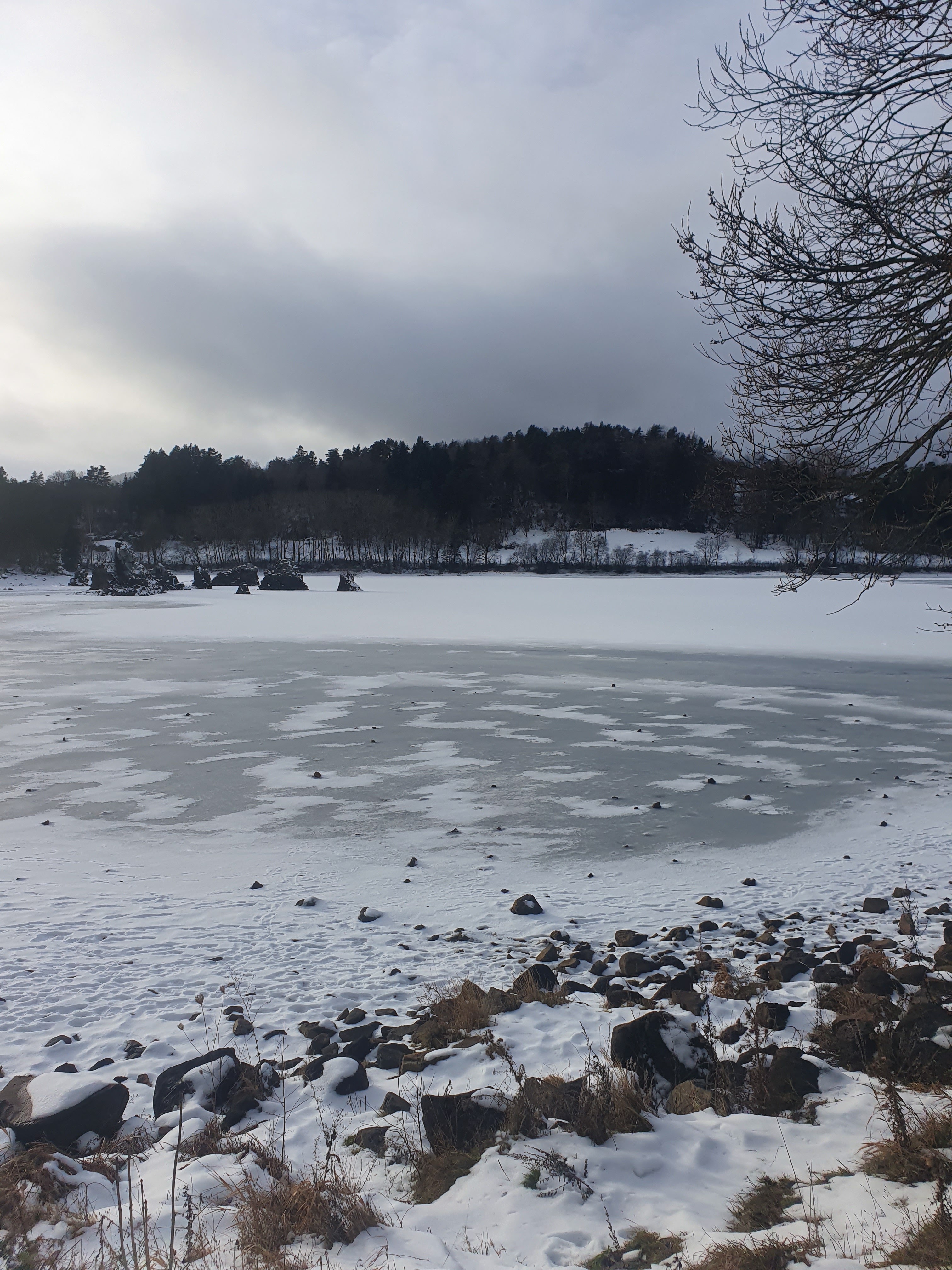 Photo n° 1 de l'avis de Mélany.o fait le 12/01/2021 à 16:58