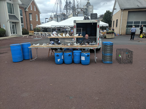 Pest Control Service «Moyer Indoor | Outdoor», reviews and photos, 113 E Reliance Rd, Souderton, PA 18964, USA