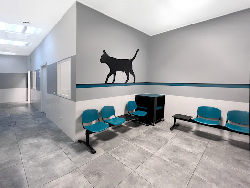 Pensioni per cani e dog hotel a Clinica Veterinaria Gran Sasso