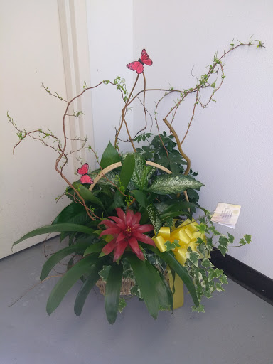 Florist «FLAMINGO FLORIST OF SPRING», reviews and photos, 24307 Aldine Westfield Rd, Spring, TX 77373, USA