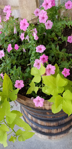 Family Restaurant «K&W Cafeterias, Inc.», reviews and photos, 1609 Hershberger Rd NW, Roanoke, VA 24012, USA