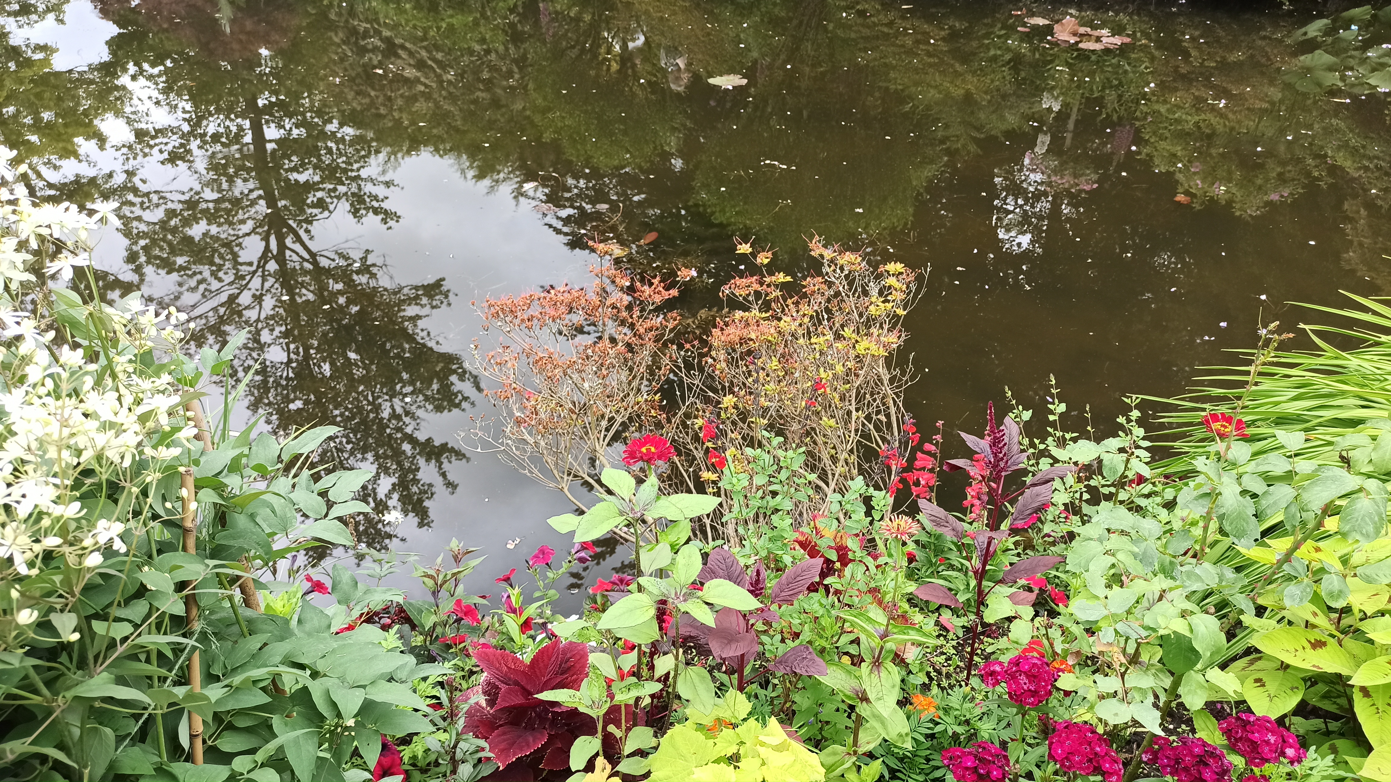 Photo n° 2 de l'avis de Marie.n fait le 30/05/2022 à 13:17