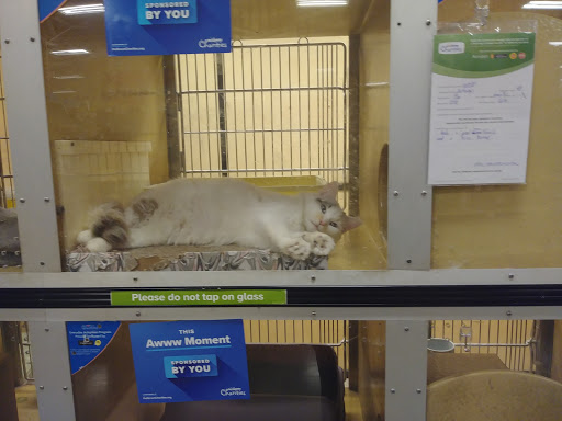 Pet Supply Store «PetSmart», reviews and photos, 150 Glynn Isle, Brunswick, GA 31525, USA