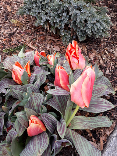 National Park «Castle Clinton National Monument», reviews and photos, Battery Park, New York, NY 10004, USA