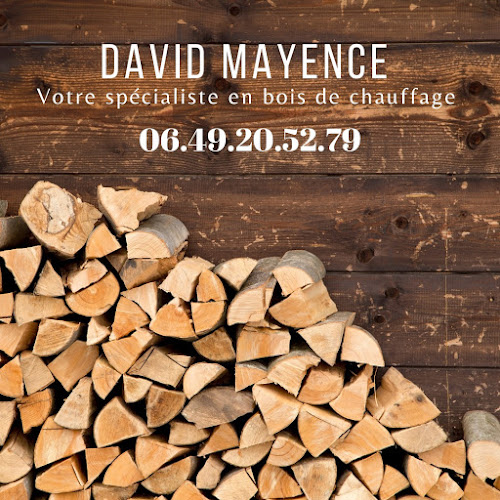 Magasin de bois de chauffage Mayence David Rosult